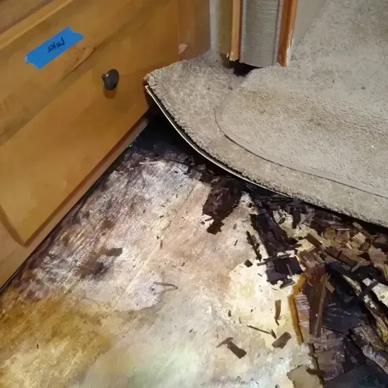 Best Wood Floor Water Damage Service in Holcomb, NY